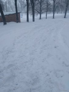 IMG_20180301_112219.jpg