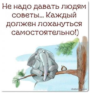 FB_IMG_1519911344576.jpg