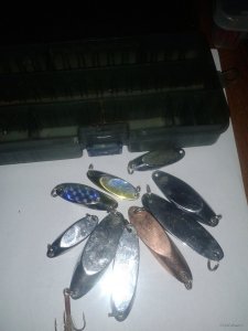 20180302_171902.jpg