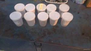 IMAG0613.jpg