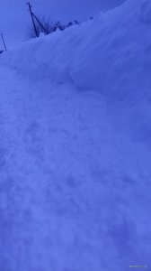 20180303_171244.jpg