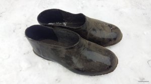 20180304_130644.jpg
