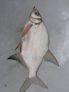 20180309_133315.jpg