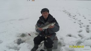 SAM_9284.JPG