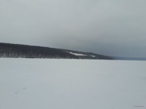 20180310_105624.jpg