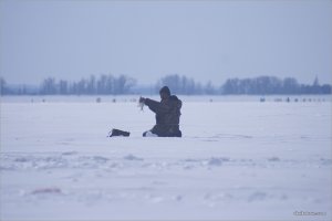 _MG_1271+.jpg