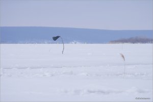 _MG_1295+.jpg