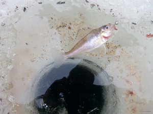 IMG_20180310_101554.jpg