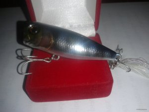 20180317_183851.jpg
