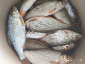 IMG_20180324_113938.jpg