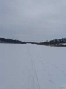 20180323_153517.jpg