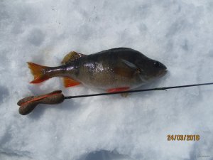 IMG_0205.JPG