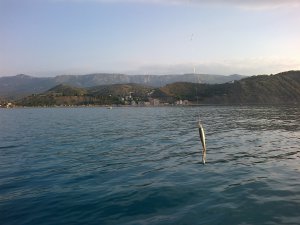11072012145.jpg