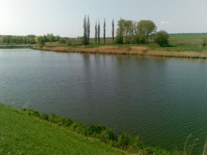 02052010(002).jpg