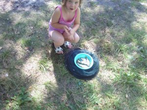 IMG_20120729_135911[1].jpg