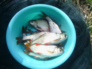 IMG_20120729_135850[1].jpg