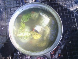 IMG_20120729_145958[1].jpg