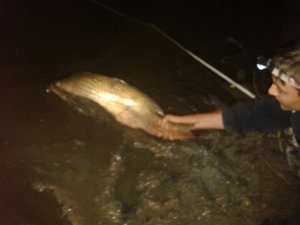 2012-07-27 23.34.48.jpg