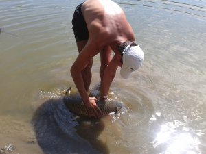 2012-07-28 10.24.07.jpg