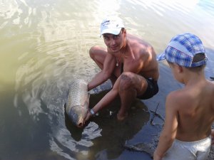 2012-07-28 15.46.59.jpg