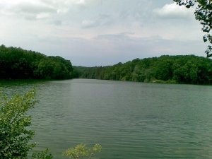 Img0332.jpg