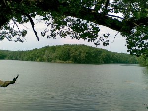 Img0333.jpg