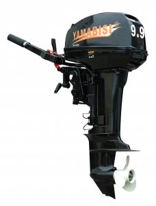 T9.9BMS.jpg