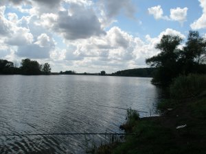P8190005.JPG