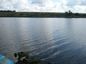 P8190007.JPG