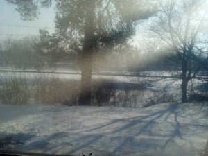 IMG_20180325_085536_426.jpg
