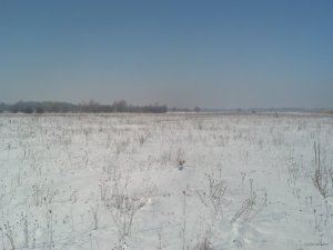 IMG_20180325_095912_702.jpg