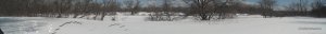 IMG_20180325_112033_605.jpg