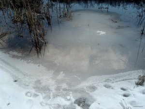 IMG_20180325_122458_240.jpg