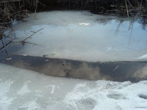 IMG_20180325_122535_132.jpg