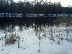 IMG_20180325_123317_980.jpg