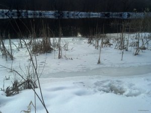 IMG_20180325_123332_237.jpg
