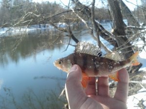 IMG_20180325_130410_057.jpg