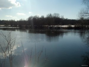 IMG_20180325_152631_661.jpg