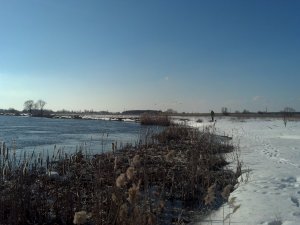 IMG_20180325_163407_046.jpg