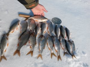 20180325_164909.jpg