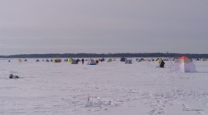 IMG_20180324_080427.jpg