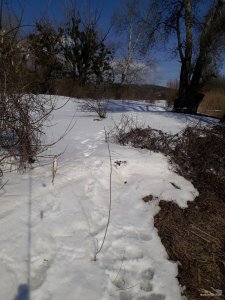 20180325_140427.jpg