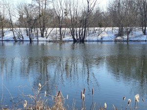 20180325_155348.jpg