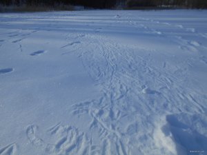 DSCN1049.JPG