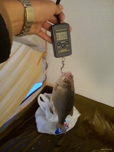 IMG_20180324_161407.jpg