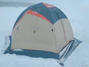 IMG_20180211_103226.jpg
