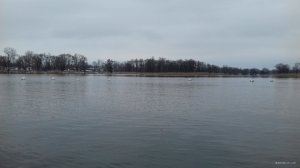 20180330_110435.jpg