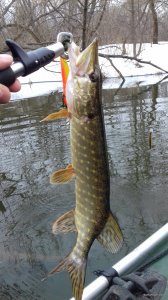 20180330_155236.jpg