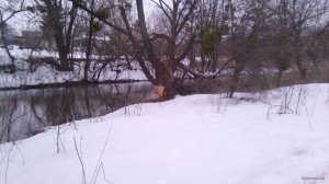 IMG_20180330_190927.jpg