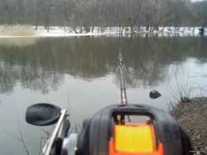IMG_20180331_083206_706.jpg
